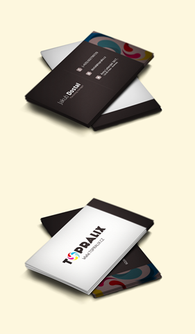 topralix___business_cards_mockup_by_pa3ick-d4xo065